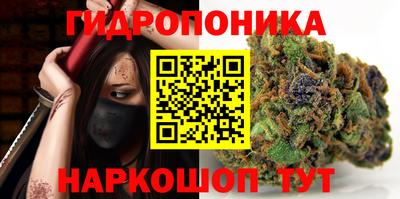 ешки Моздок