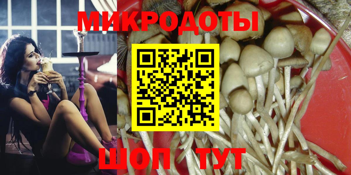 Галлюциногенные грибы Psilocybine cubensis  Вход с VPN  Псилоцибиновые грибы мицелий  Петропавловск-Камчатский 